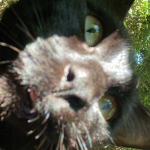 Meet your Posher, Negron